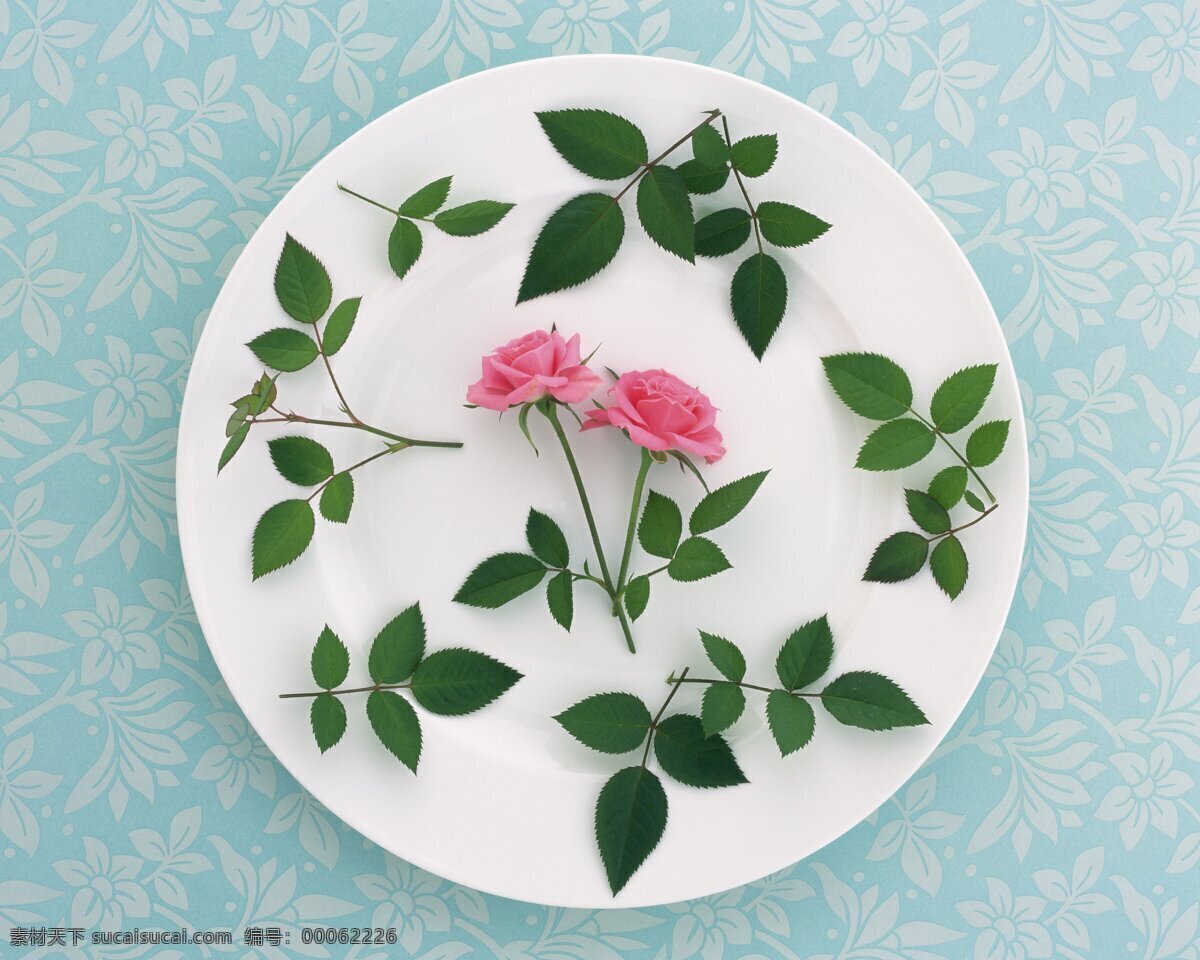 花艺 大餐 花朵 花饰 盘子 郁金香 紫罗兰 花艺大餐 稚菊 生物世界