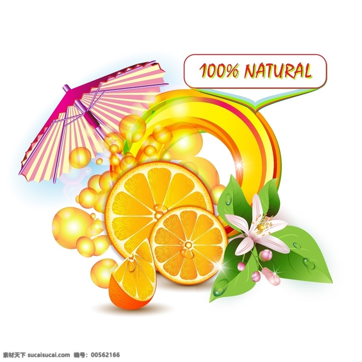 橙子 橙汁 新鲜水果 新鲜 西柚 绿叶 花卉 水珠 饮料 水果 柑橘 桔子 矢量素材 生物世界 矢量