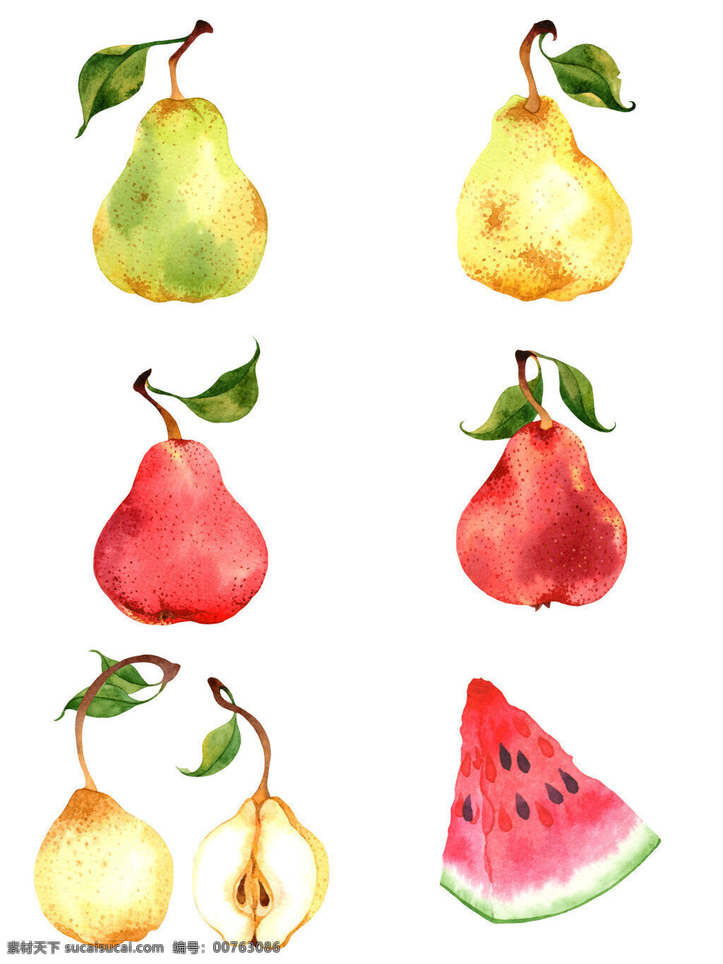 水彩 绘 新鲜 水果 插画 梨子 美味 水彩绘 西瓜
