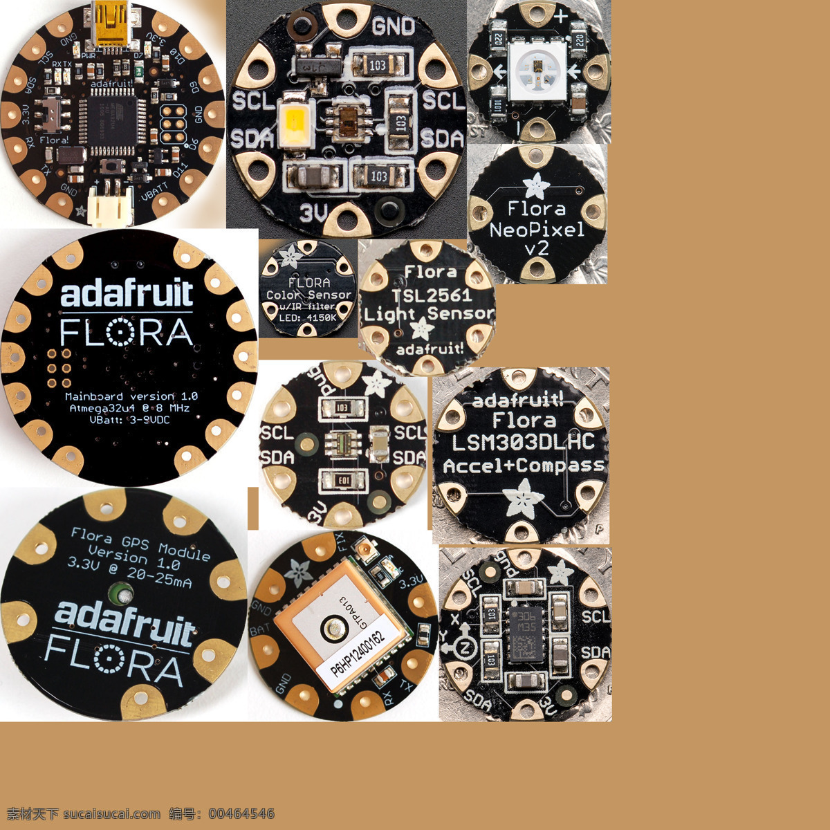 adafruit 植物 模型