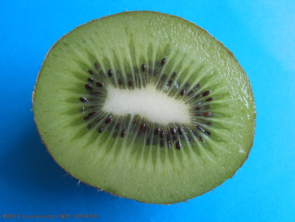 奇異果 kiwi 水果 生物世界