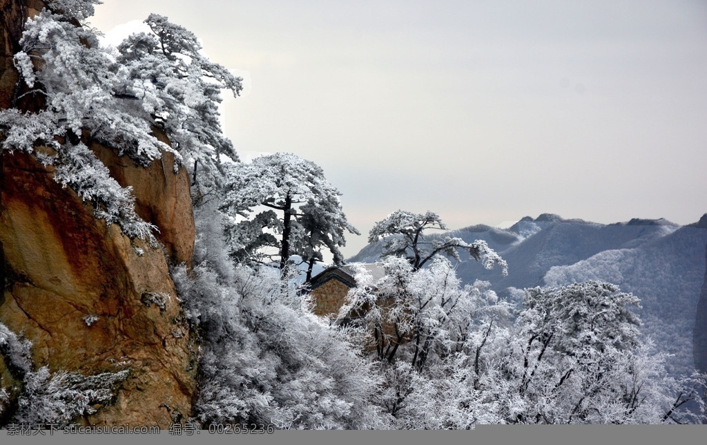 千山雾凇 千山 云海 雾凇 冬季 雪挂 鞍山 旅游摄影 国内旅游