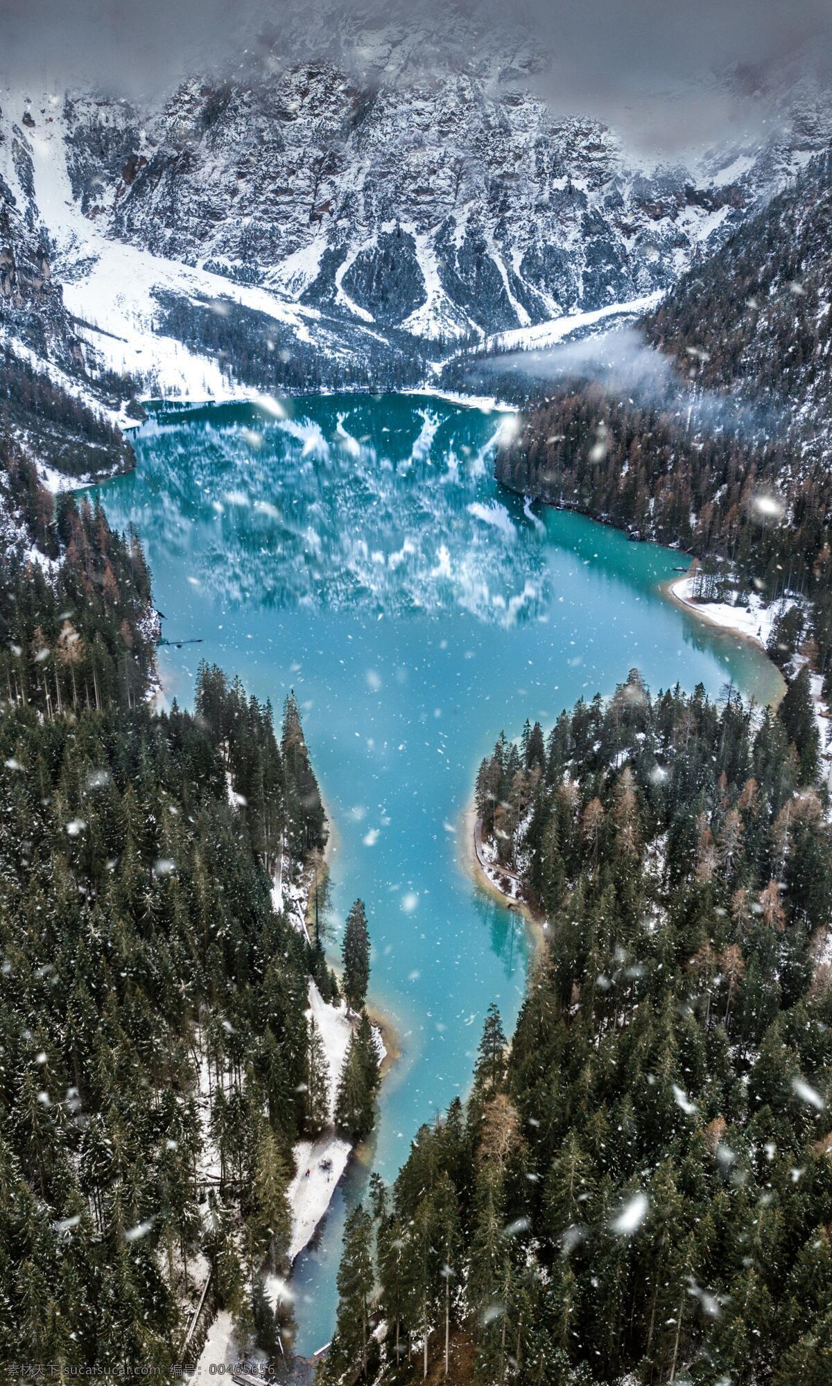 山水风景画 雪山 高山 树林 树木 松树 树 湖水 水 广告素材 背景 风景 旅游摄影 国外旅游