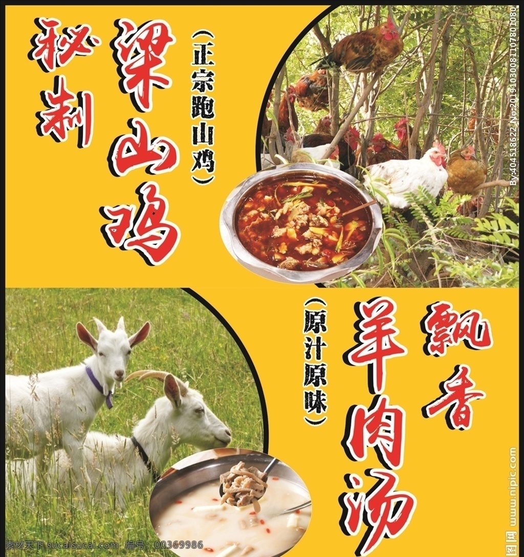 梁山鸡 鸡 羊肉汤 山羊 跑山鸡