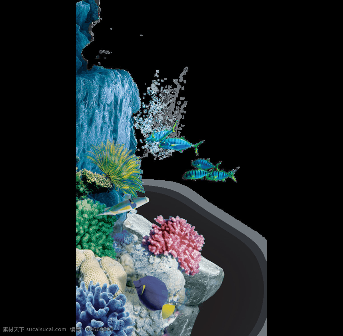 海底 生物 景象 元素 鱼 礁石 珊瑚