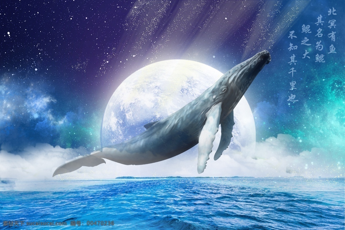北 冥 鱼 其名 鲲 鲸鱼 鲸落 大海 海洋 月亮 梦幻 唯美 梦境 海报插画设计 分层