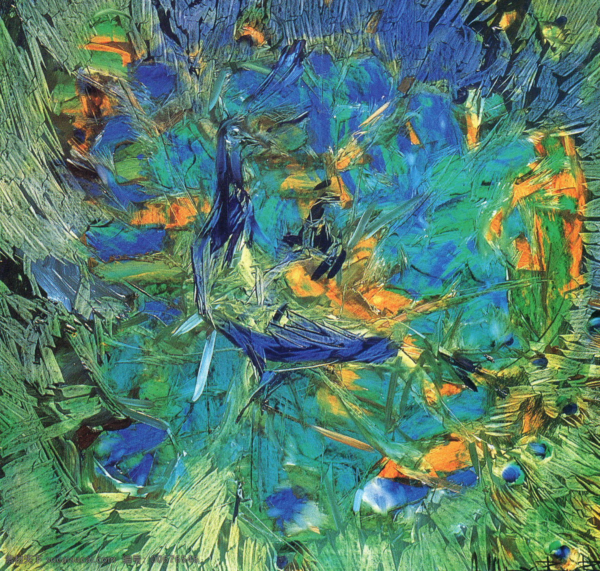 孔雀 国外 乌克兰 青年画家 油画 蓝色 抽象 颜色 色彩斑斓 作品选 绘画书法 文化艺术