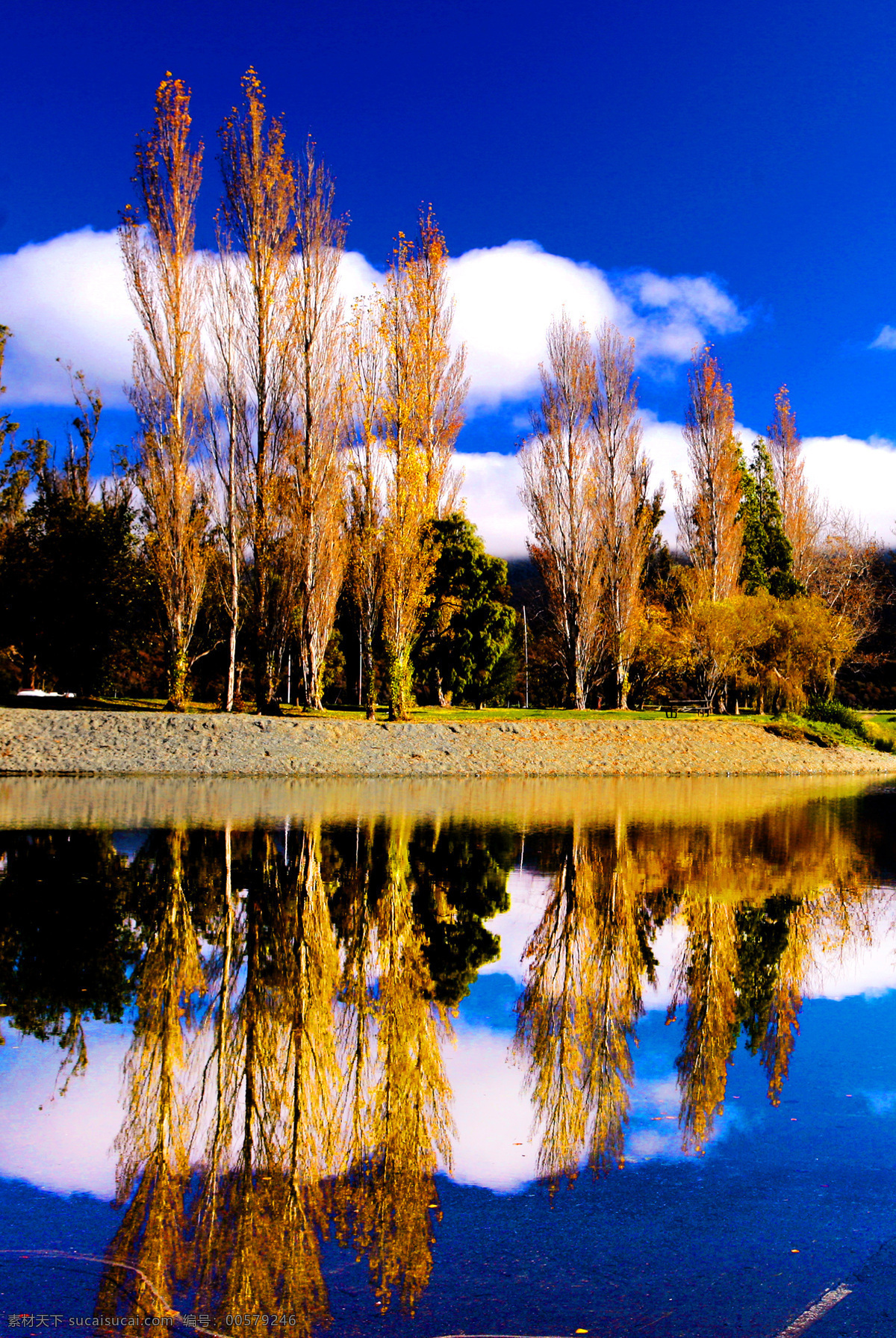 新西兰风景 风景 美丽 新西兰 旅游摄影 国外旅游 摄影图库 300