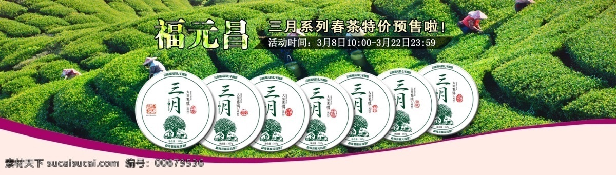 淘宝 天猫 普洱茶 春茶 预售 海报 焦点 首屏焦点图 psd设计 茶 预售促销 茶行业