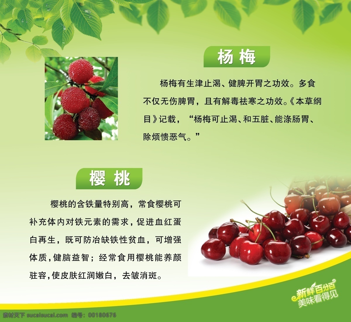 水果简介 绿叶 绿色背景 绿色线条 杨梅 樱桃 展板模板 广告设计模板 源文件