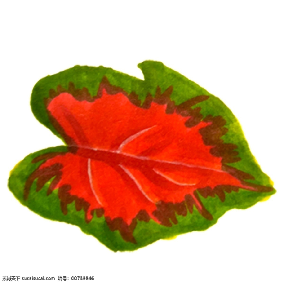 红色 油墨 叶子 免 抠 图 油墨风格叶子 卡通手绘叶子 绿色生态 植被 绿色植被 绿色