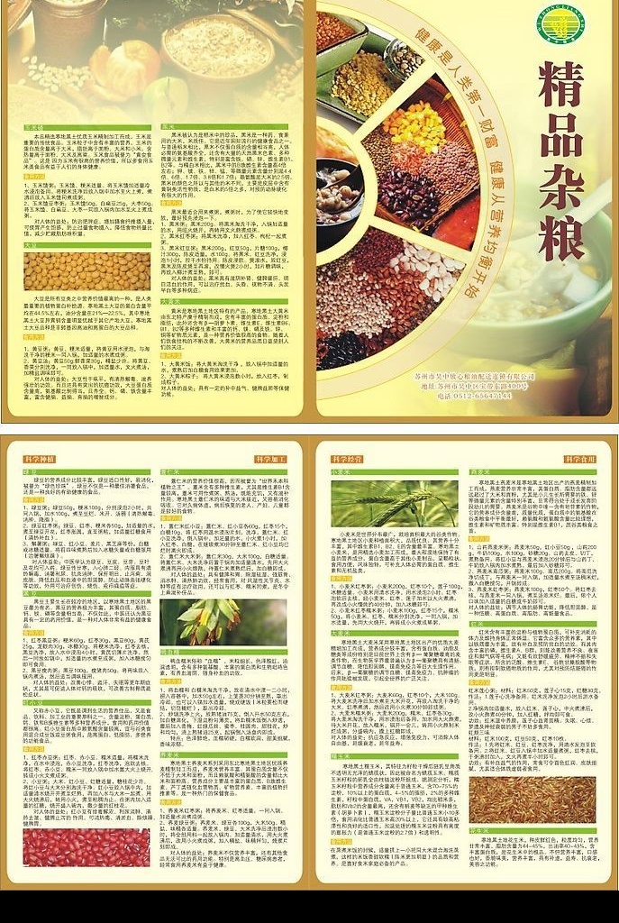 两折页 精品杂粮 介绍 矢量图库