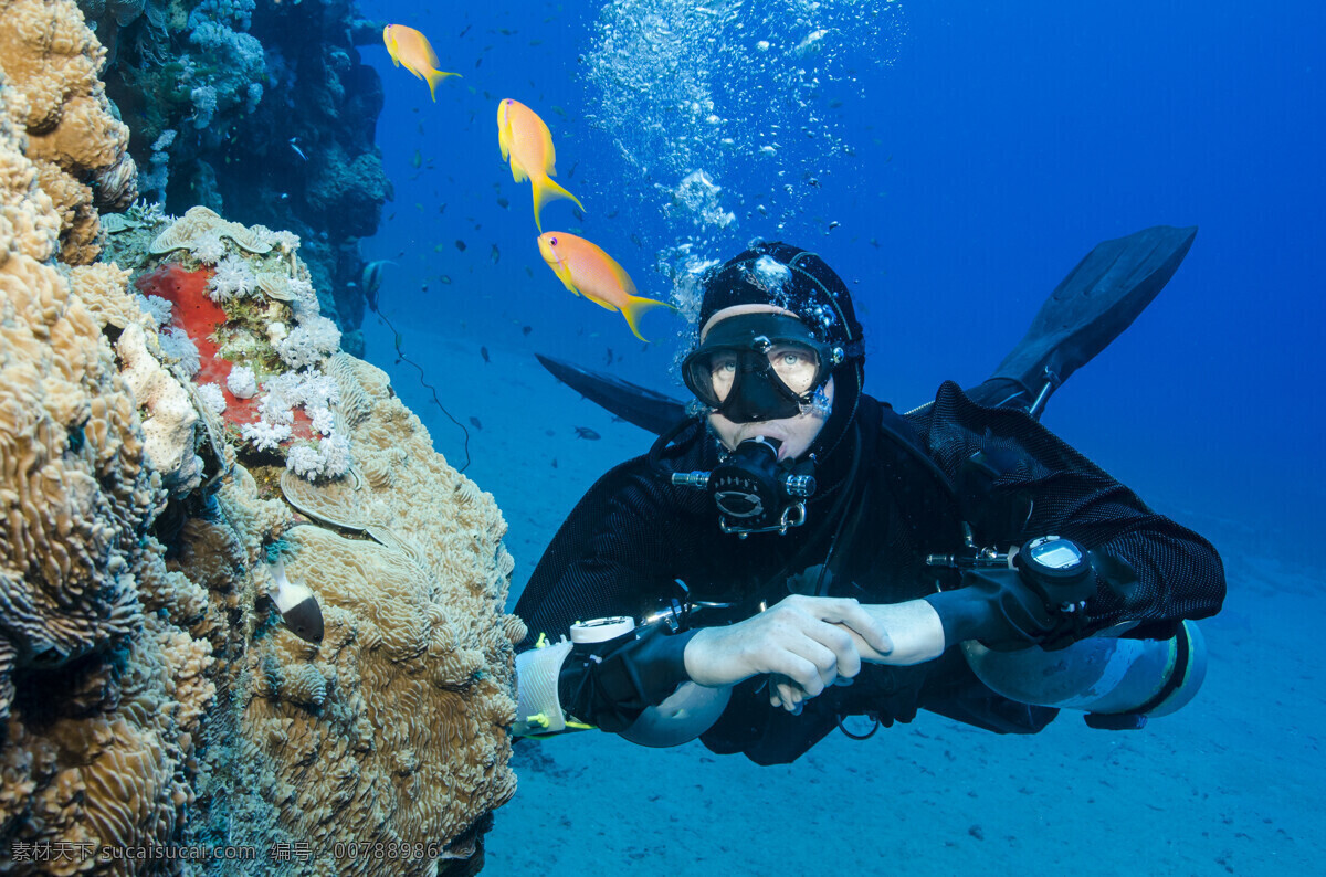 海底 岩石 潜水员 海洋世界 鱼 生活人物 人物图片