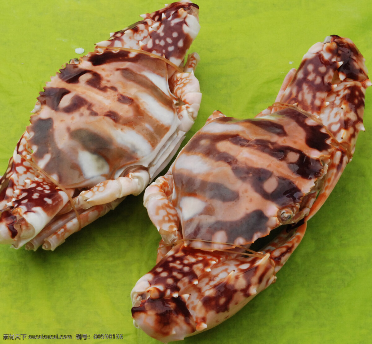 冻红花蟹 冷冻 保鲜 花斑蟹 海鲜 贝壳类 水产品 食物原料 食物素材摄影 食物原料种种 餐饮美食