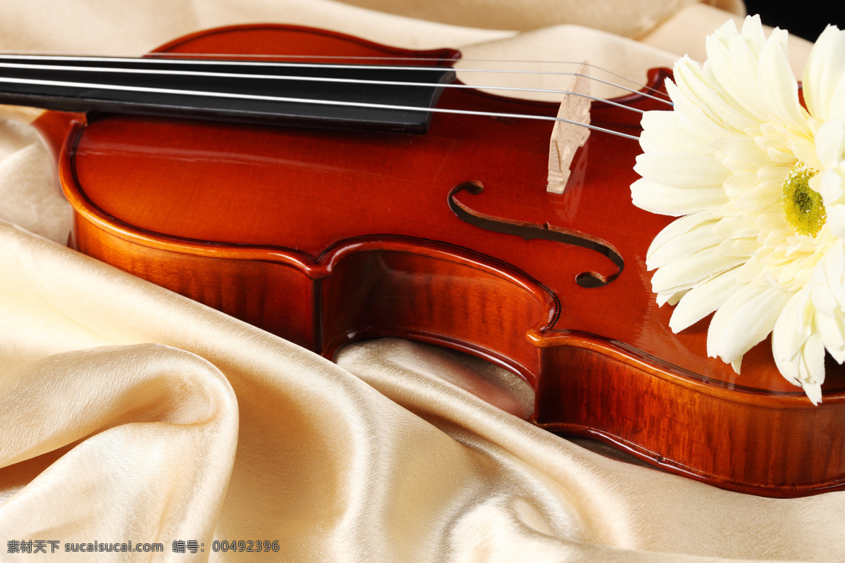 大提琴 高清图片素材 菊花 乐谱 文化艺术 舞蹈音乐 小提琴 小提琴特写 音符 高清小提琴 中提琴 psd源文件