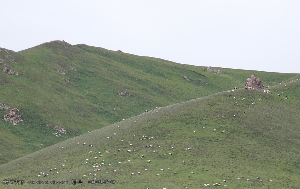 山上的羊 新疆 风光 风景 草原 自然风景 旅游摄影