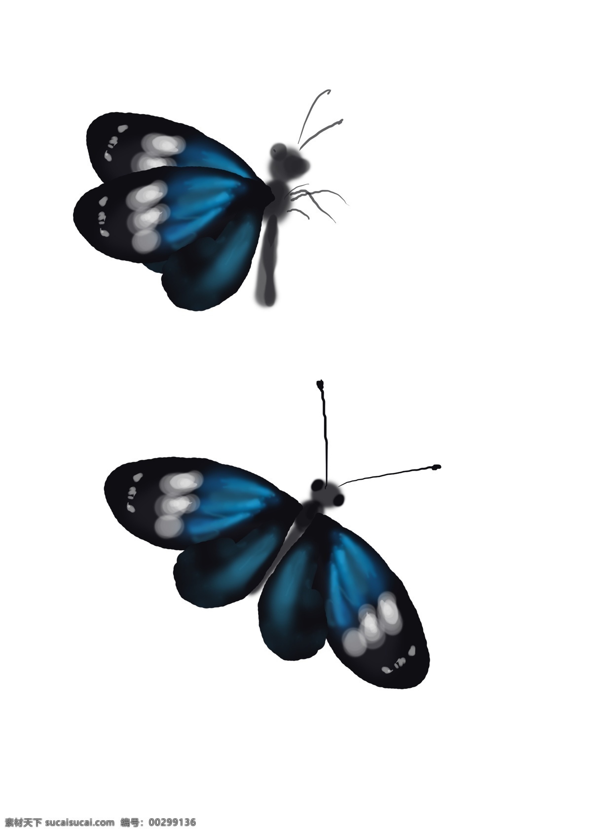 中国 水墨 手绘 蝴蝶 墨迹 国画 插画 中国风 古风 黑白 线条 飞舞 昆虫 传统 蓝色 彩色