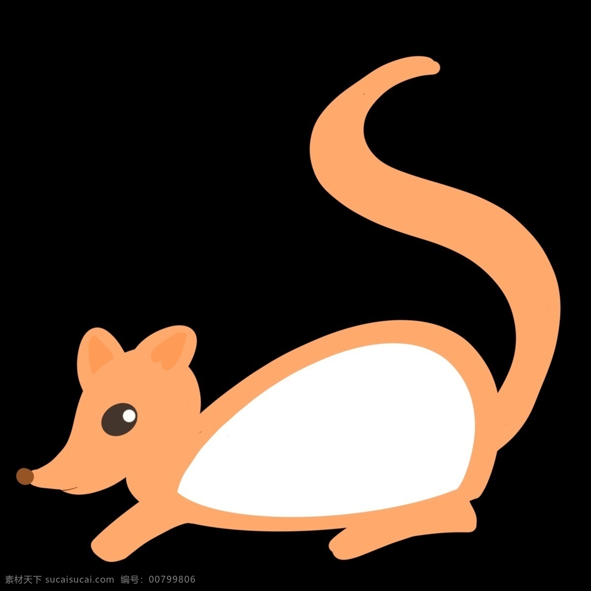 松鼠动物边框 黄色 长尾巴 创意边框