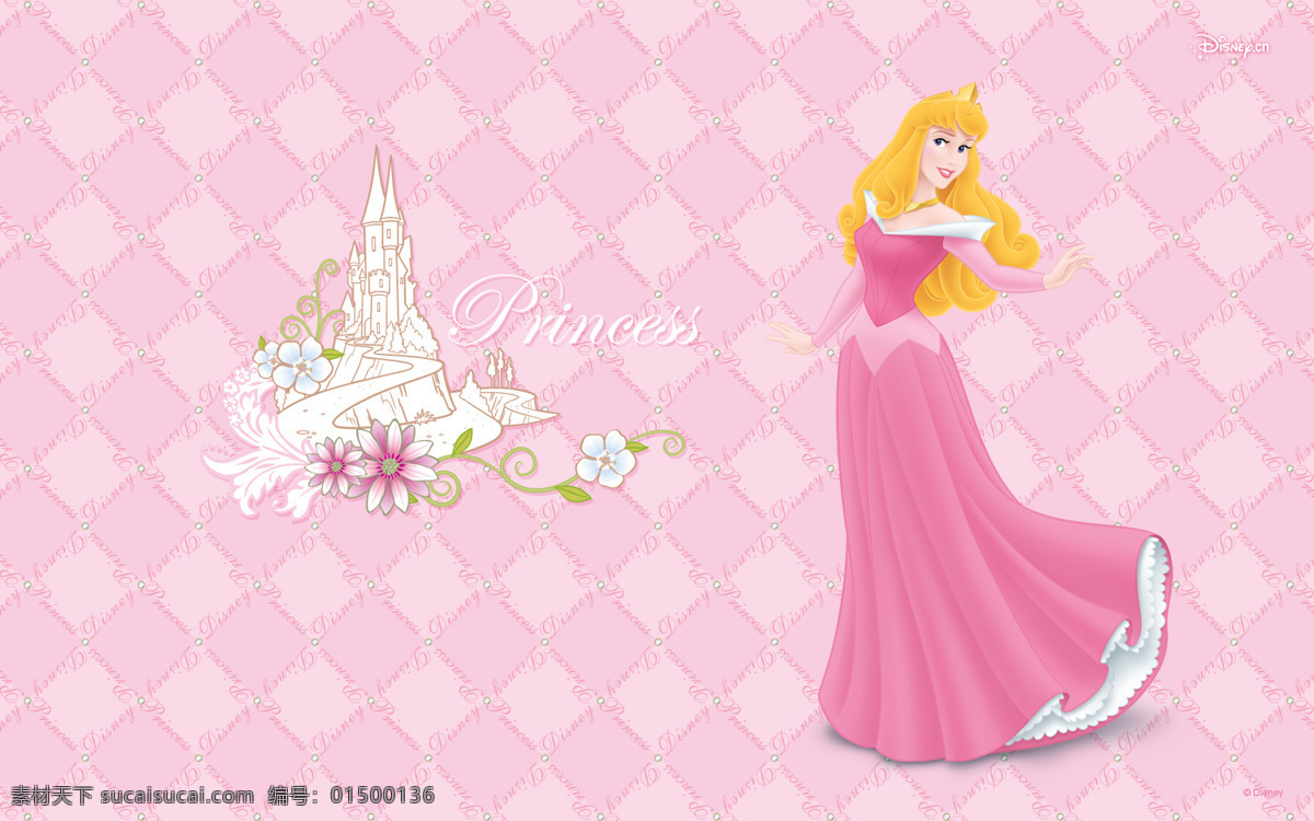 迪斯尼公主 城堡 鲜花 粉色裙子 动漫人物 动漫动画
