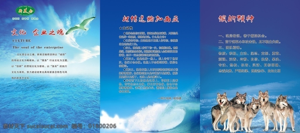 企业形象墙 企业形象 公司 企业 形象 展板 海报 文化 狼性 团队
