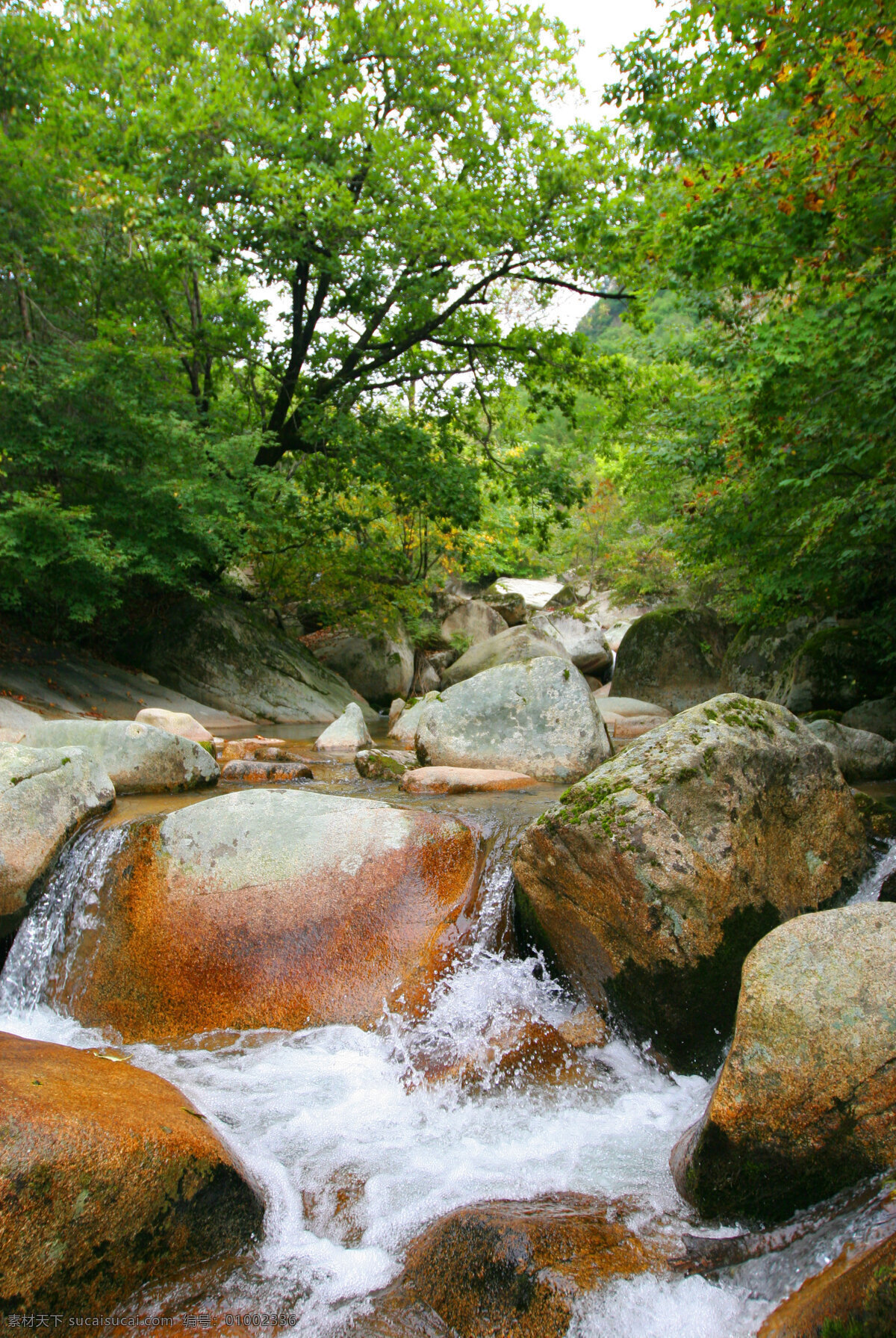 天华山 山石 树木 树林 丹东 风景 自然风景 自然景观