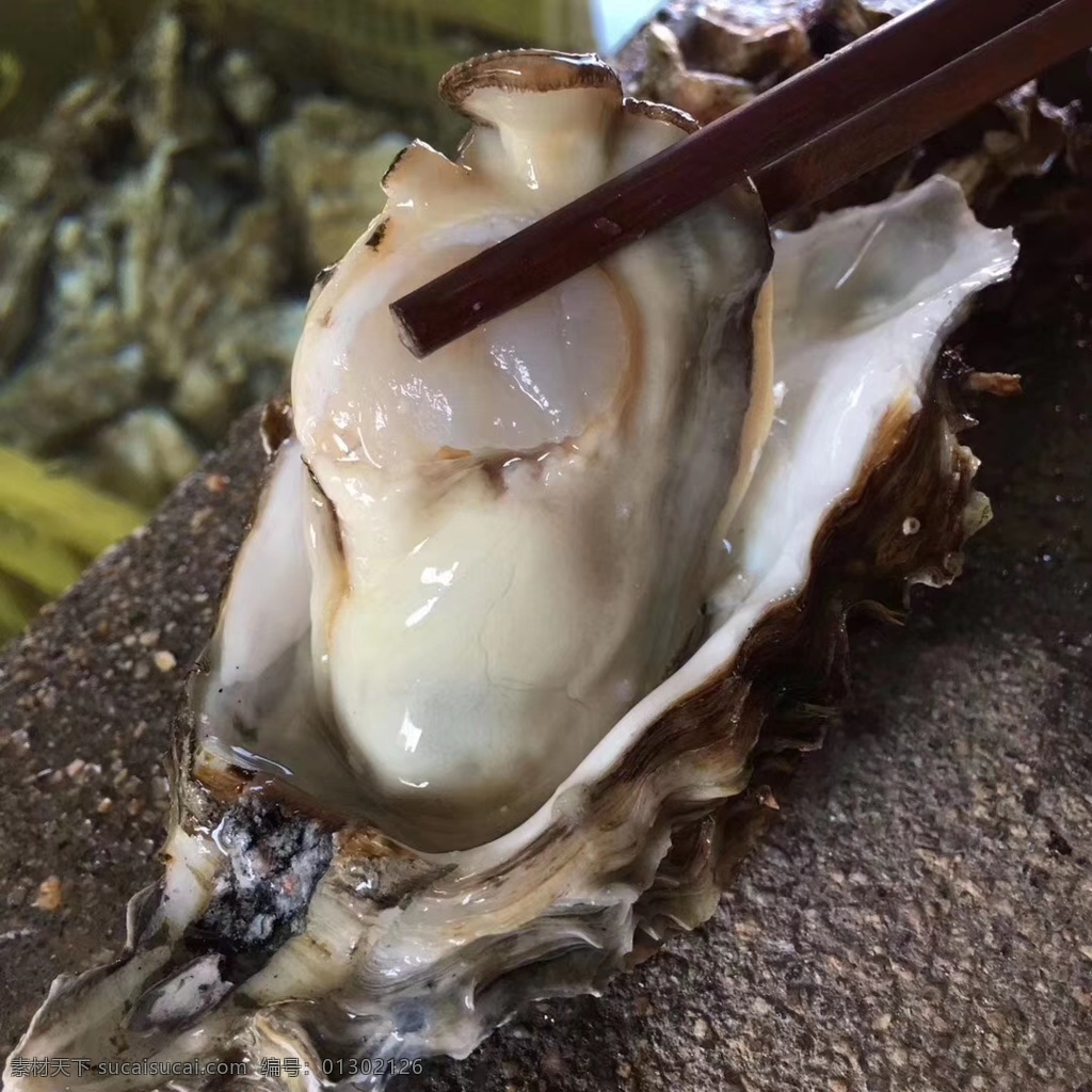 大个生蚝 大生蚝 蚝 鲜美生蚝 美食 菜谱 海鲜 餐饮美食 传统美食