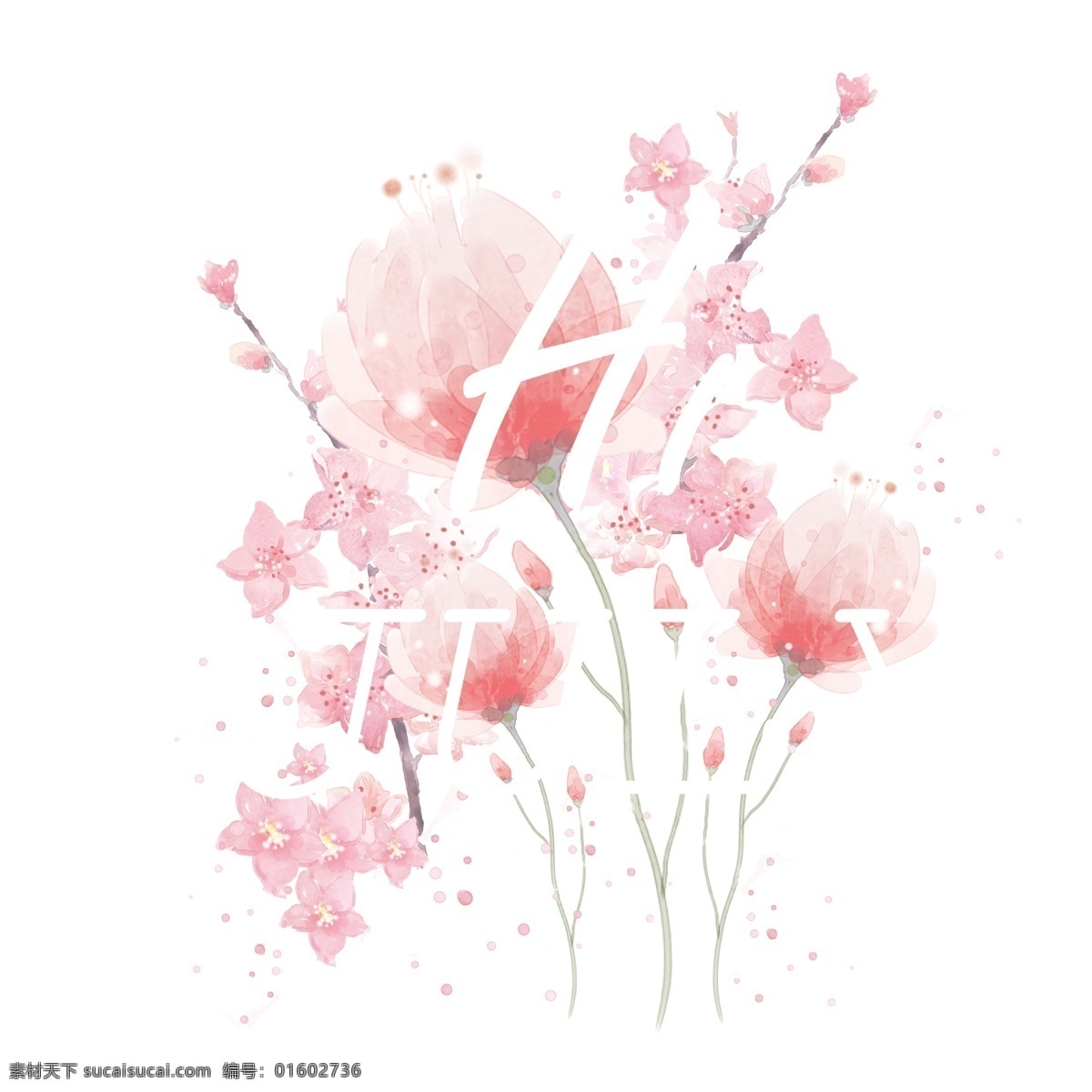 粉红色 花朵 免 抠 图 英文 卡通手绘 手绘艺术 花朵开放 背景 粉红色花朵