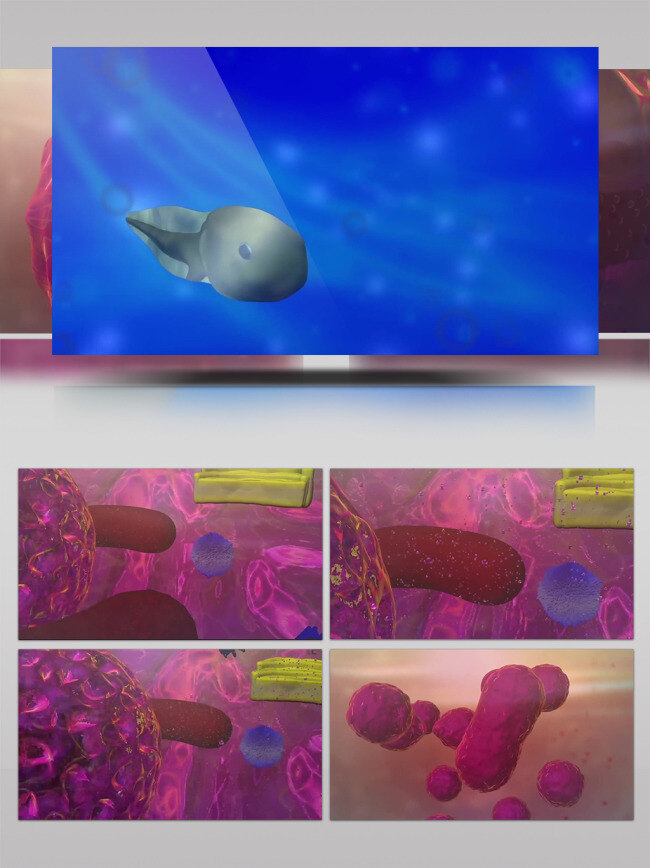 三维 生理 知识 儿童 性教育 动画 3d动画 卵子 生理知识 小蝌蚪