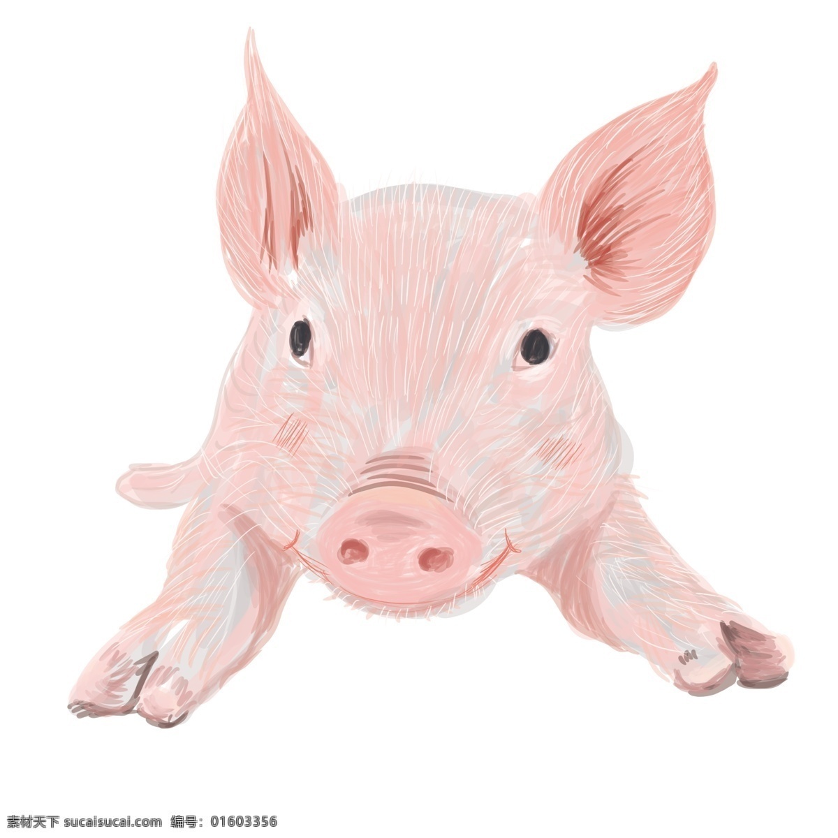 原创 粉色 手绘 清新 小 奶 猪 元素 新年快乐 图案设计 装饰图案 小奶猪元素 猪年 猪猪 猪元素 小猪猪 猪年快乐 元素设计 猪年大吉