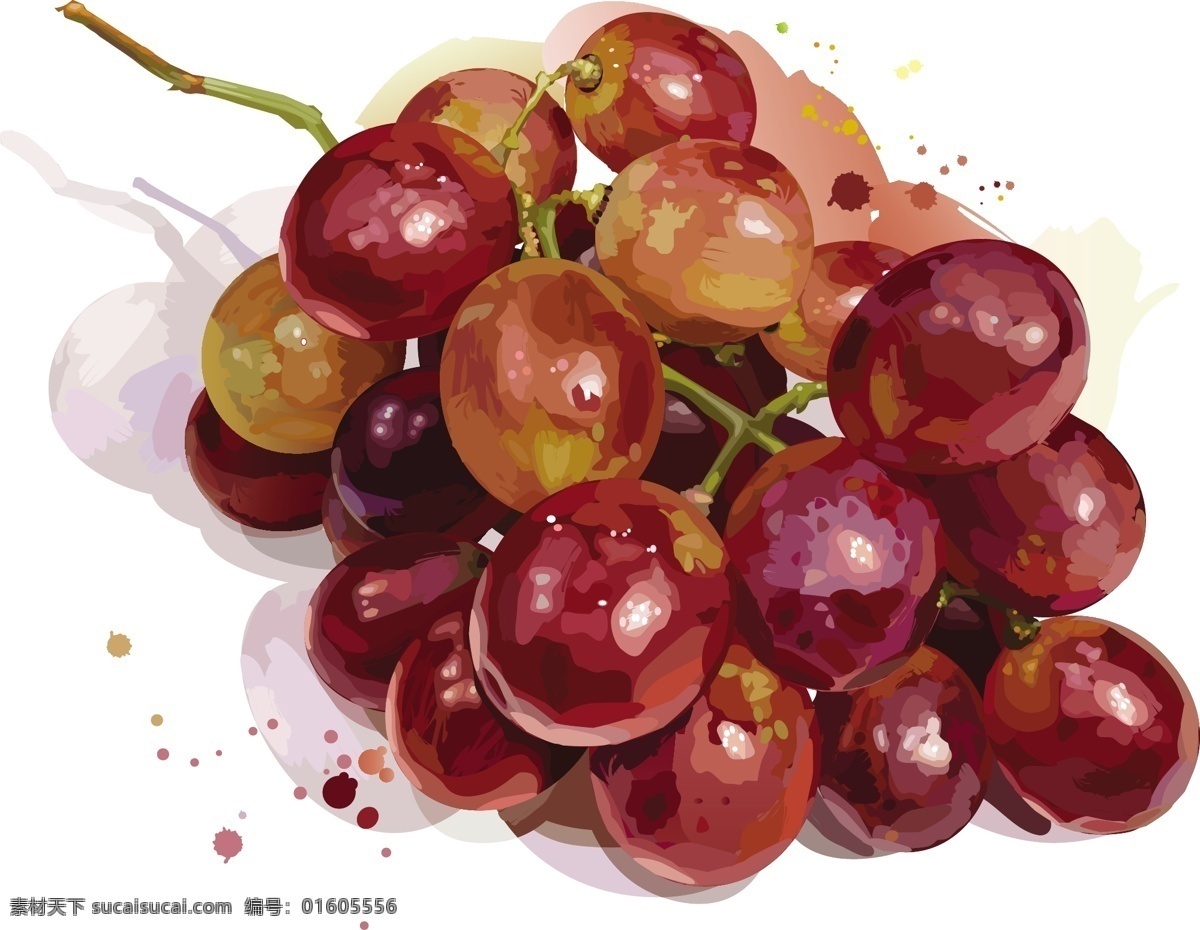 矢量 葡萄 设计素材 水果 蔬菜水果 生物世界 矢量素材 白色