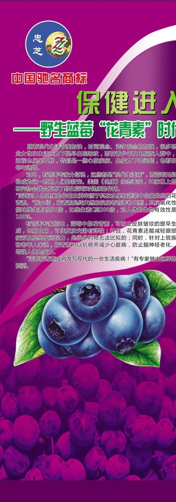 蓝莓展板 蓝莓 野生蓝莓 忠芝蓝莓 中国驰名商标 花青素 矢量
