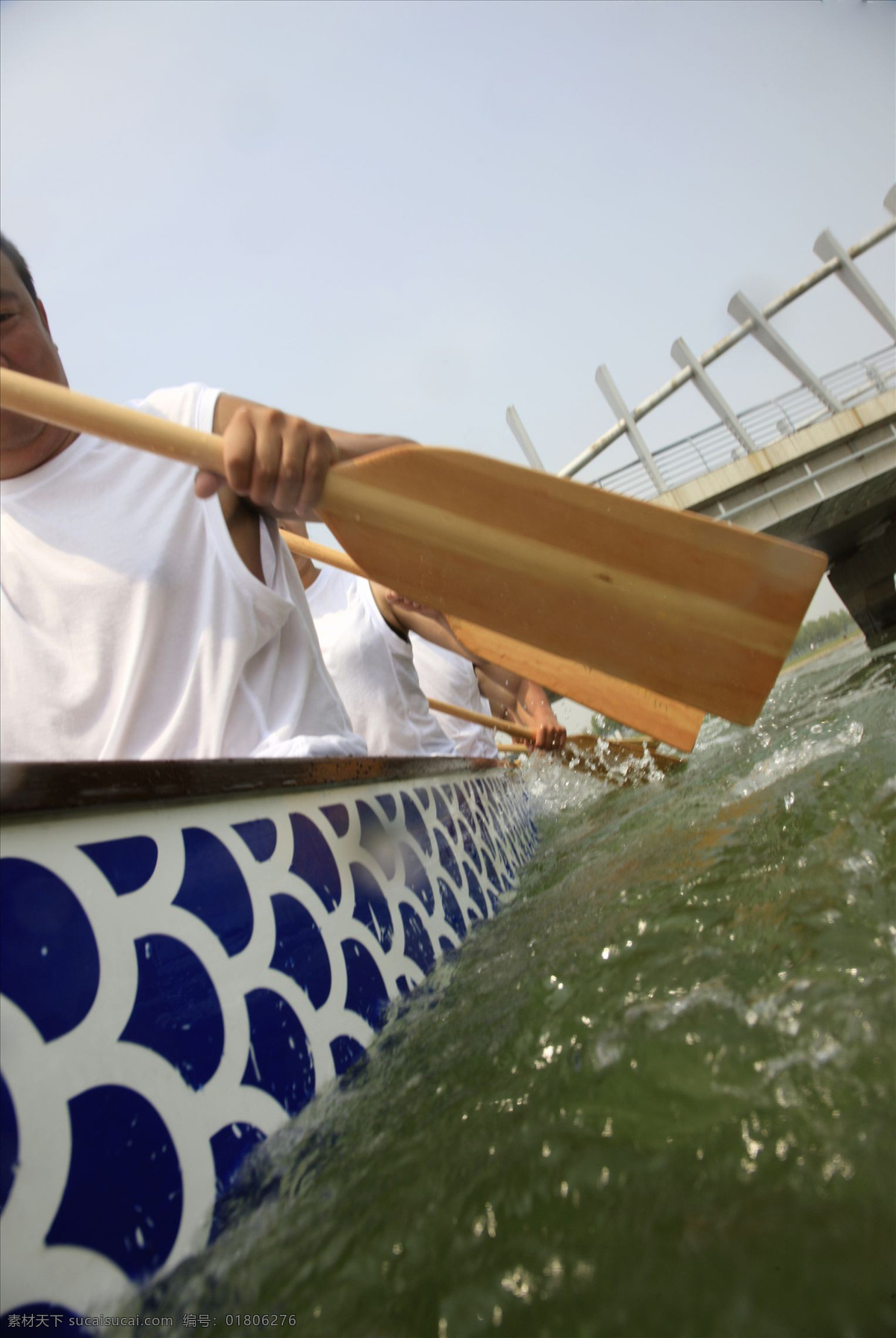 比赛 传统节日 端午节 河流 节日庆祝 龙舟 赛龙舟 船浆 水面 划船比赛 文化艺术 节日素材