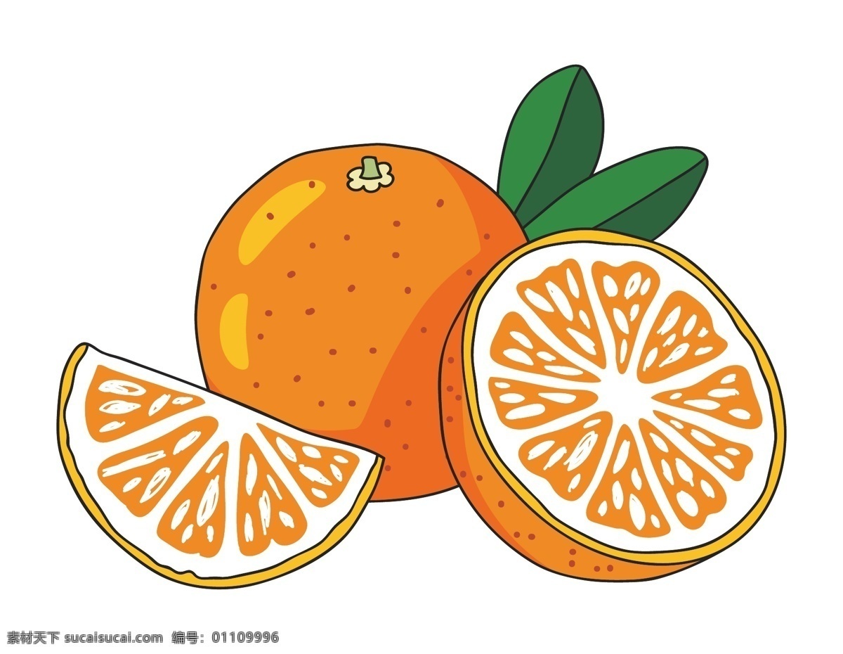 橙 矢量 水果 橘子 植物 果肉 切开的果 生物世界