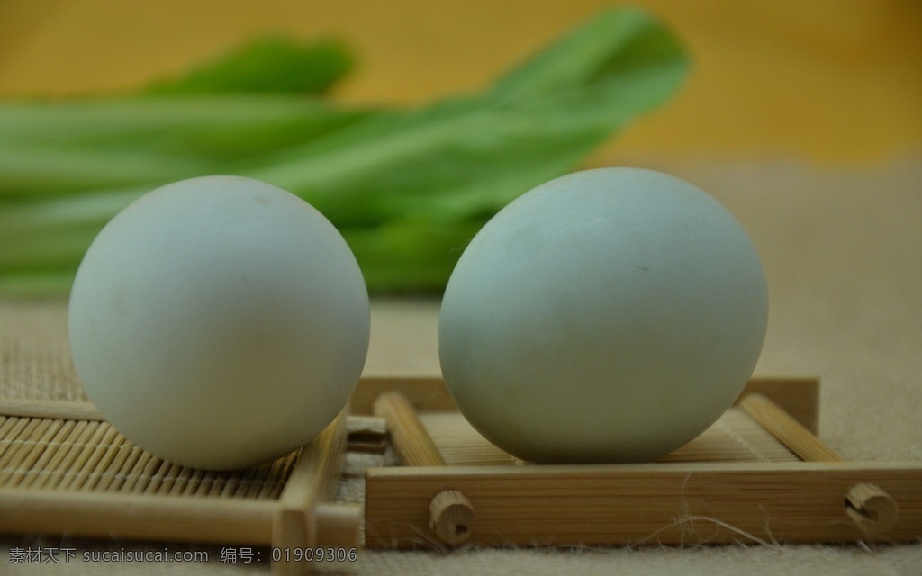 咸鸭蛋 腌鸭蛋 咸蛋 盐蛋 腌蛋 味蛋 其他生物 生物世界