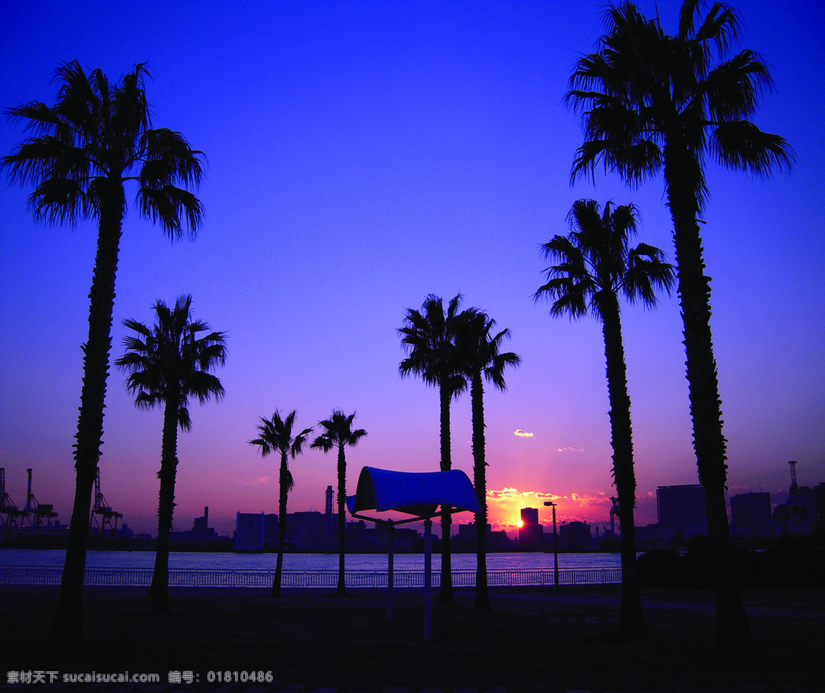 海边 夜景 海滩 黄昏 椰树 自然风景 自然景观 边夜景 psd源文件