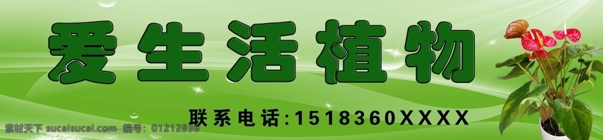 植物店招牌 植物 红掌 分层植物 分层红掌 海报 装修 效果图 花边 活植物 一盆红掌 绿色植物 美丽植物 报纸花边 海报花边 海报植物 传单 设计广告 广告制作 菜单花边 菜普花边 好运植物 各种边框 绿色花边 盆景 盆栽 盆栽植物 一盆植物 大盆植物 绿色景色 植物招牌 绿色招牌 淡背景 生活百科