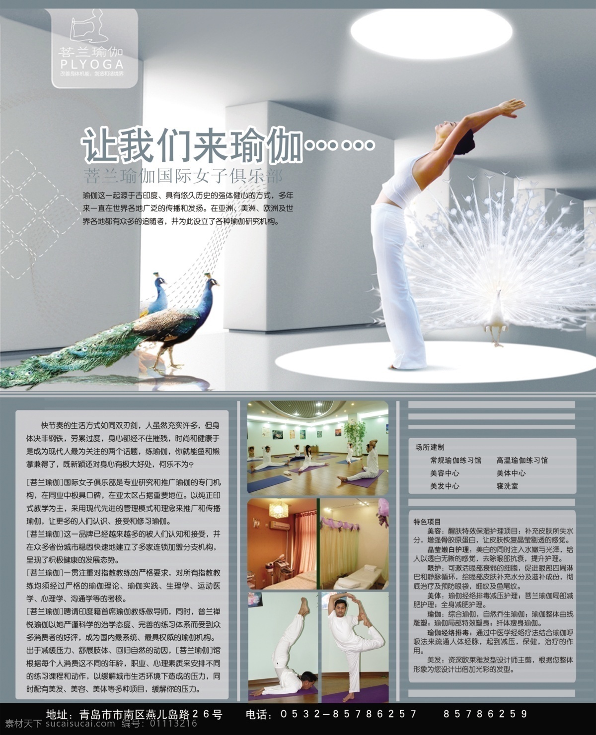 瑜伽 美容 海报 灰色背景 健身图片 孔雀 瑜伽美容海报 场所建制 特色项目 海报背景图