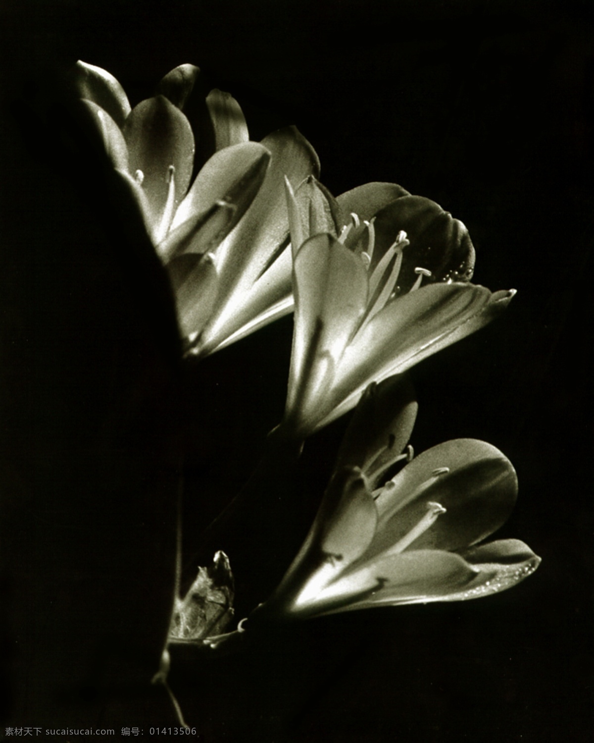 发展 和谐 画册 画册素材 金融 设计图库 设计素材 模板下载 画册素材7 自然景观 其他画册封面