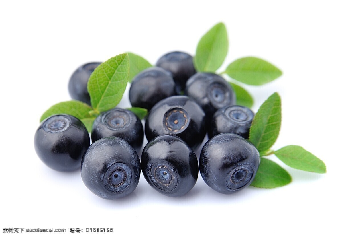 唯美 美味 水果 鲜果 新鲜 蓝莓 新鲜蓝莓 美味蓝莓 原生态蓝莓 生物世界