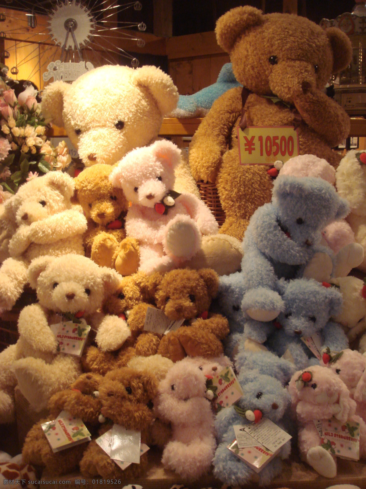 日本 生活百科 生活素材 玩具 熊猫 小樽 玩具店 小樽玩具店 psd源文件
