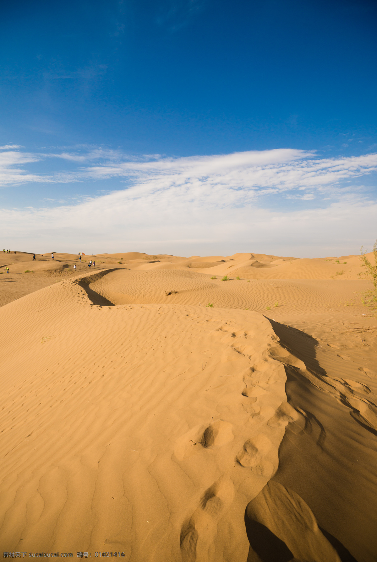 沙漠 黄沙 沙丘 鄂尔多斯沙漠 内蒙古沙漠 沙漠风光 沙漠丽景 库不齐沙漠 响沙湾 沙漠摄影 库布齐沙漠 旅游摄影 国内旅游