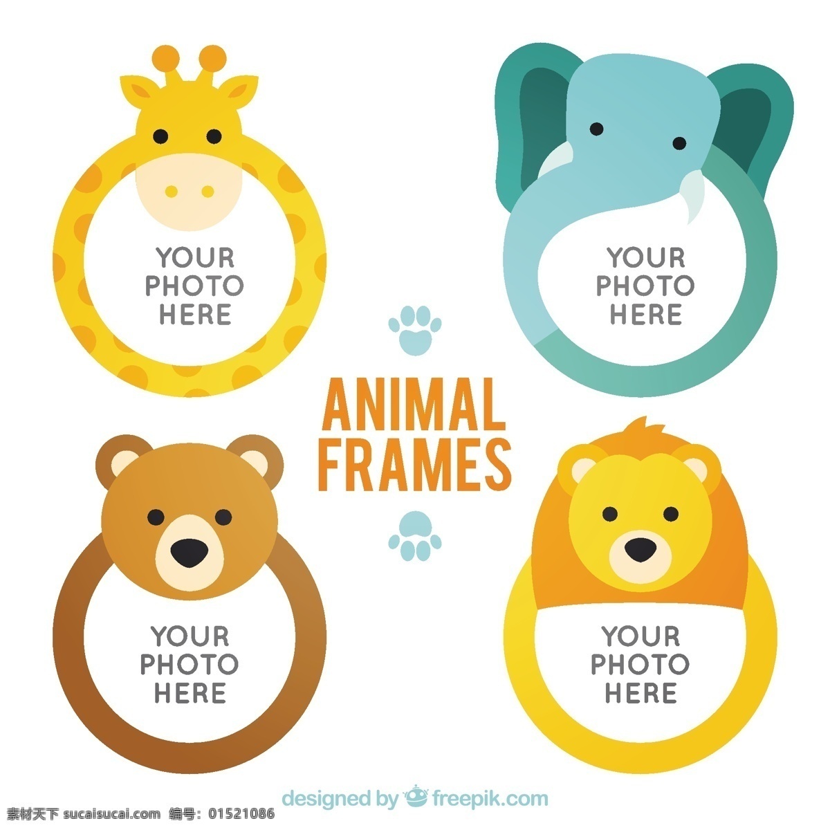 扁平动物圆框 框架 自然 动物 狮子 照片 平面 可爱 大象 熊 热带 相框 平面设计 长颈鹿 照片相框 可爱的动物 白色