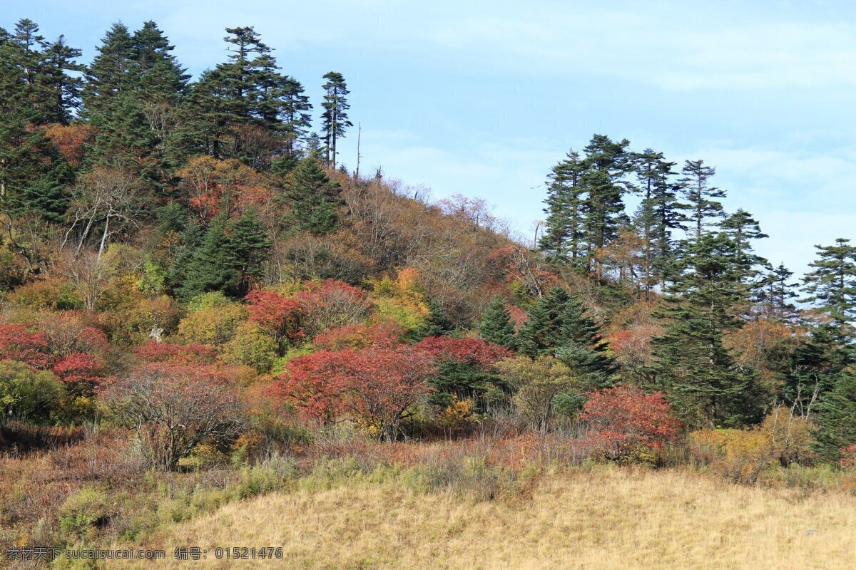 湖北 神农架 观景台 风景