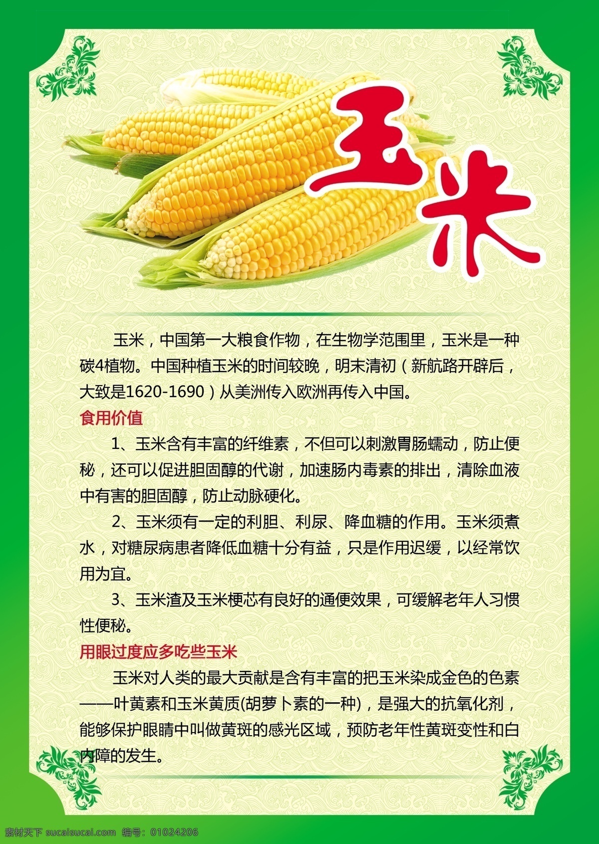 玉米 玉米海报 绿色背景 蔬菜介绍 蔬菜简介 绿色花边 蔬菜背景 新鲜蔬菜 营养价值 营养 蔬菜 海报