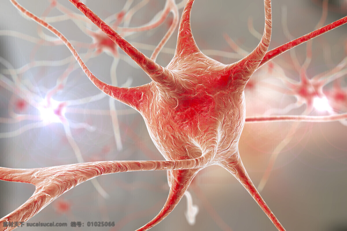 唯美 炫酷 3d 神经元 神经细胞 细胞 人体组织 大脑神经 3d设计