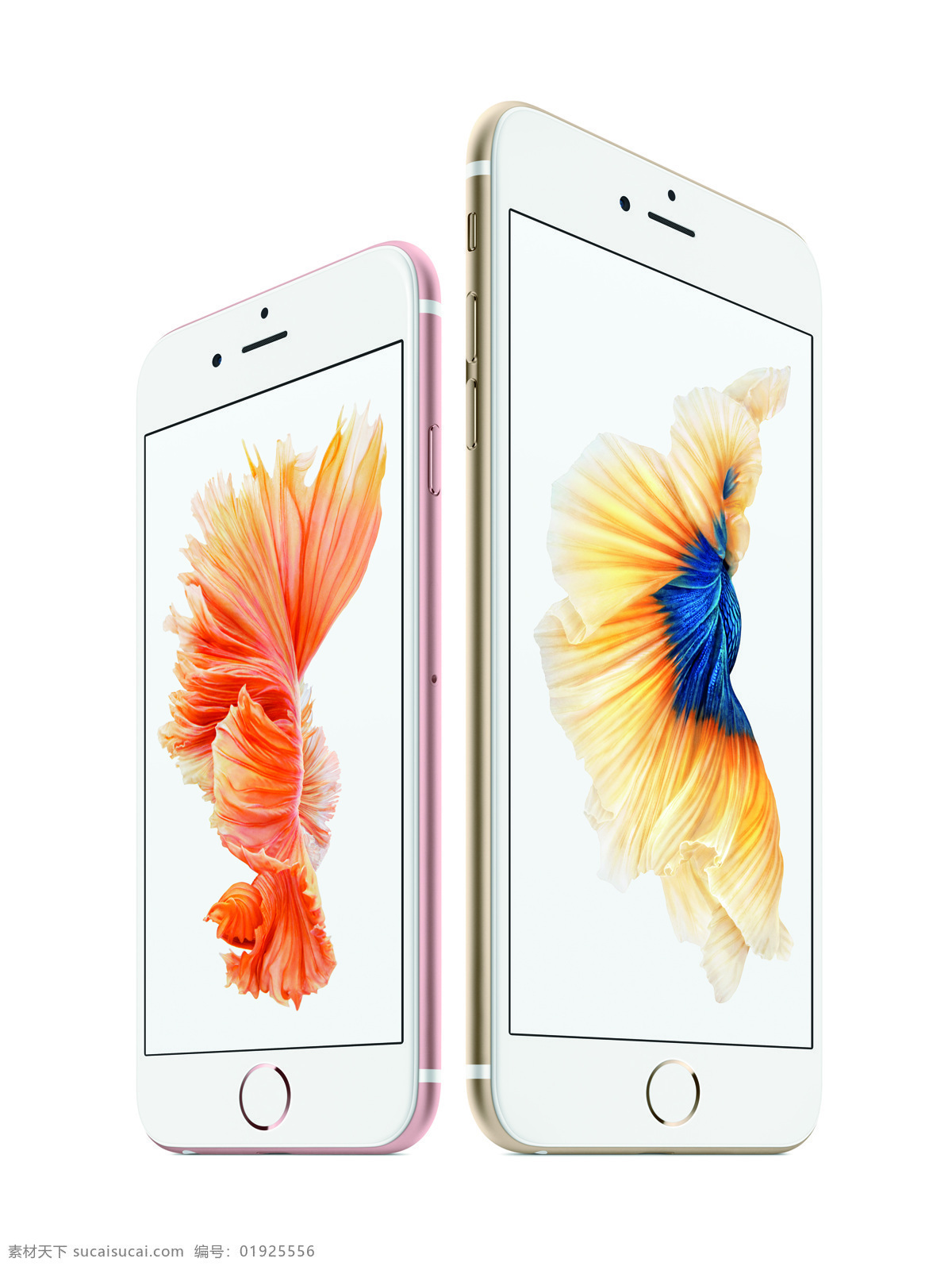 苹果6s iphone6s iphone65plus iphone 6s plus apple 白色