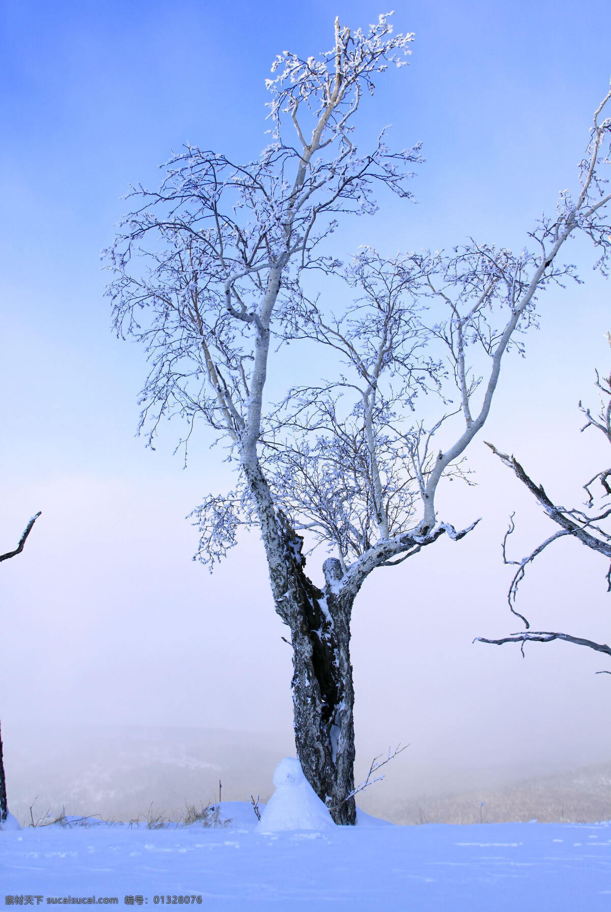 黑龙江 海林 二 浪 河 雪景