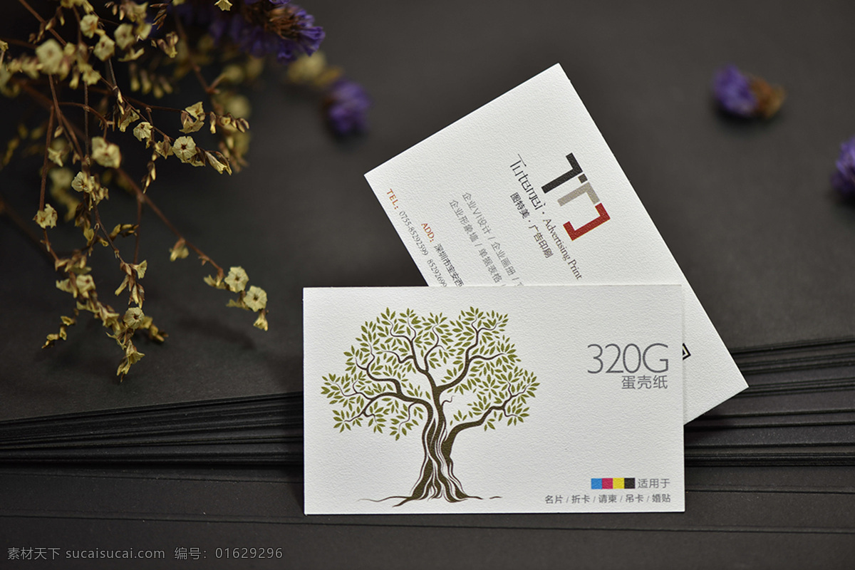 蛋壳纸名片 名片 纸张 蛋壳纸 特种纸 效果图 蛋壳 鸡蛋壳 碎裂 纹路 名片效果 高档名片 高档 自然摄影