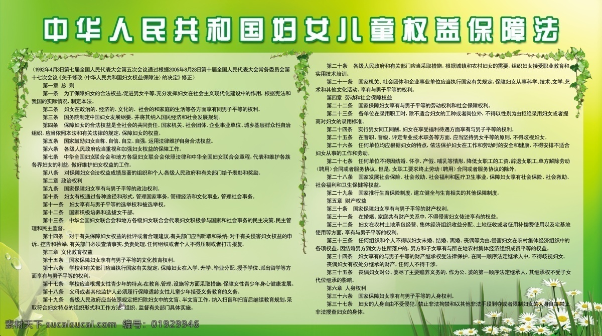 中华人民共和国 妇女 儿童 权益 保障法 清新 绿色 星光 野菊花 展板 分层 源文件