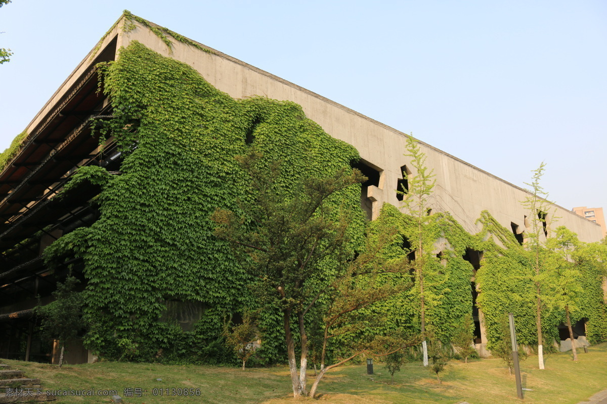 中国美术学院 校园 景色 中国美院 现代建筑 杭州风光 中国大学校园 校园景色 旅游摄影 国内旅游